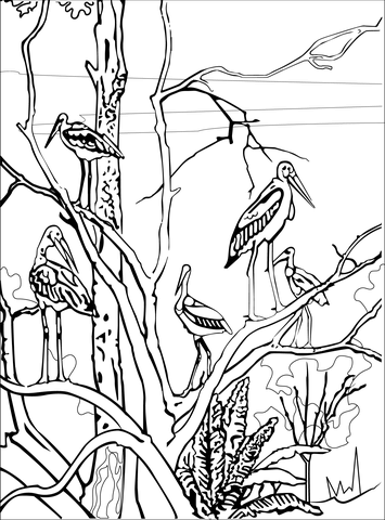 Marabou Stork  Coloring Page